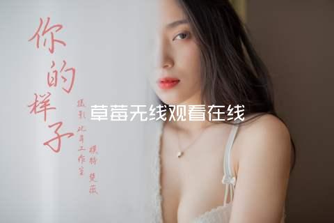 草莓无线观看在线